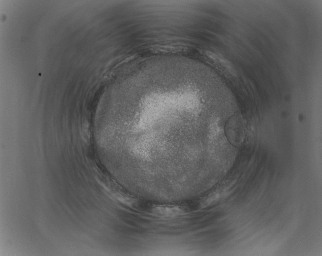 X0000067910749200604271917