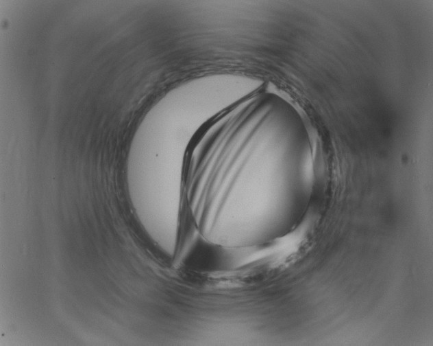 X0000067910750200604271917