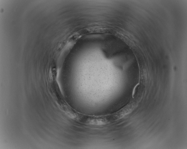 X0000067910751200604271917