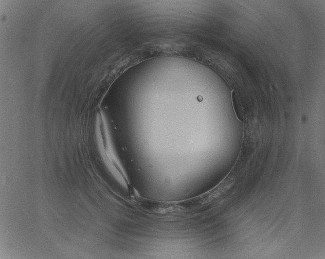 X0000067910752200604271917