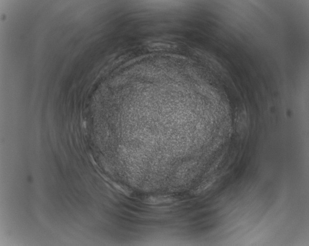 X0000067910753200604271917