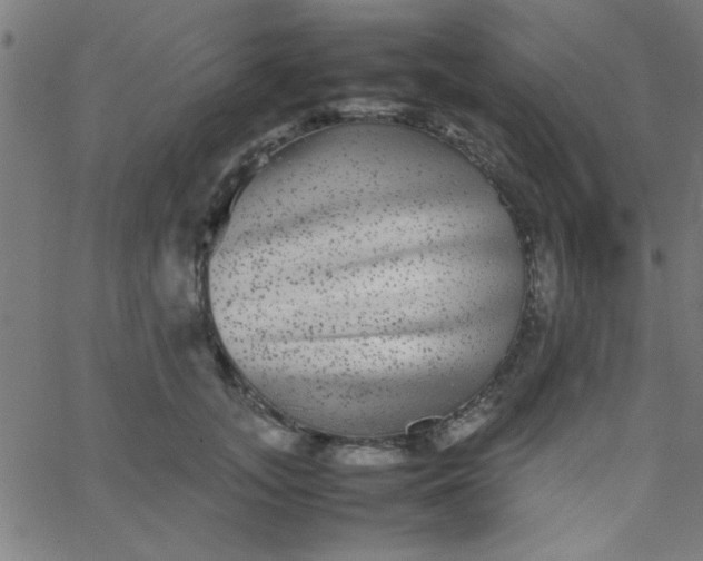 X0000067910755200604271917