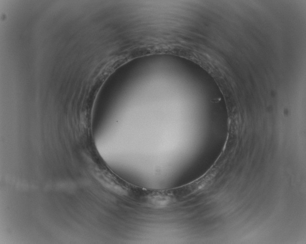 X0000067910756200604271917