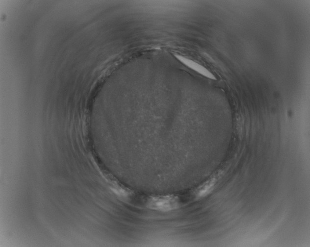 X0000067910757200604271917