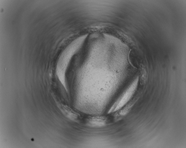 X0000067910758200604271917