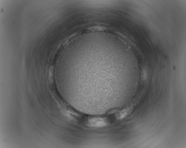 X0000067910759200604271917