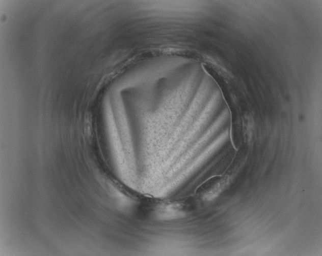 X0000067910760200604271917