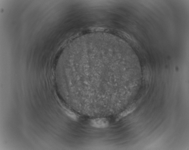 X0000067910761200604271917