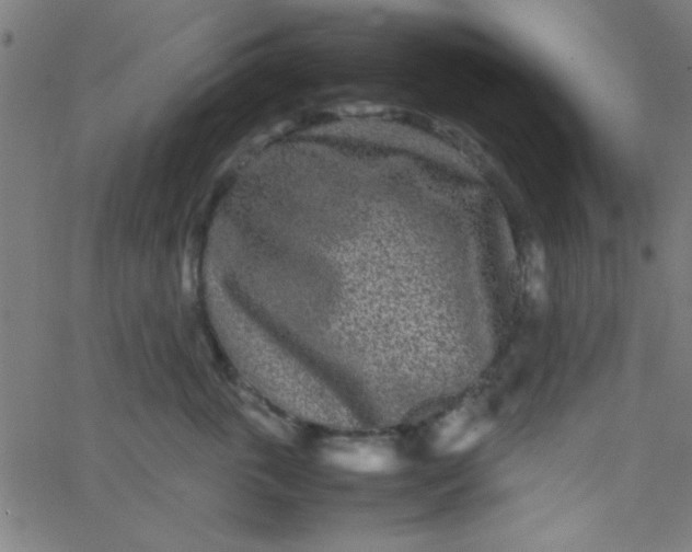 X0000067910763200604271917