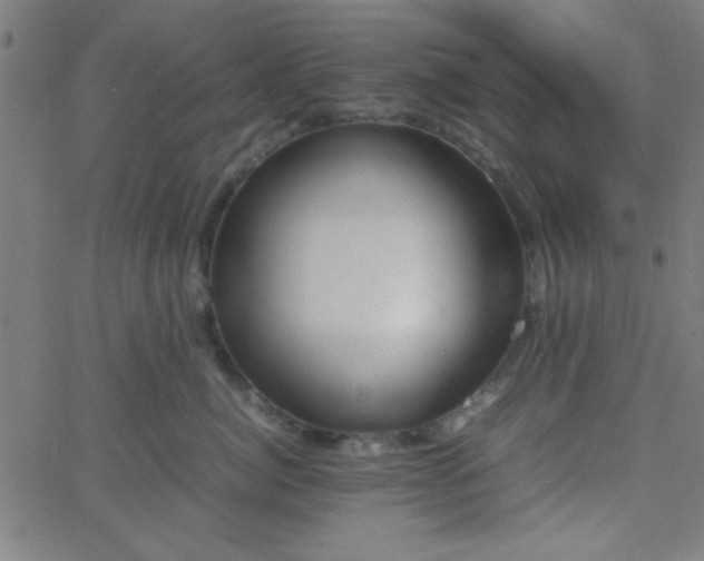 X0000067910764200604271917