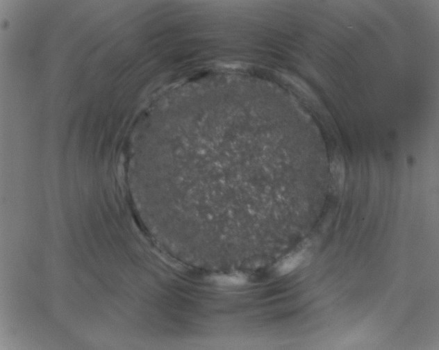 X0000067910765200604271917