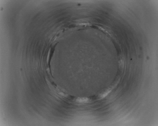 X0000067910767200604271918