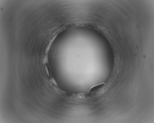 X0000067910768200604271918