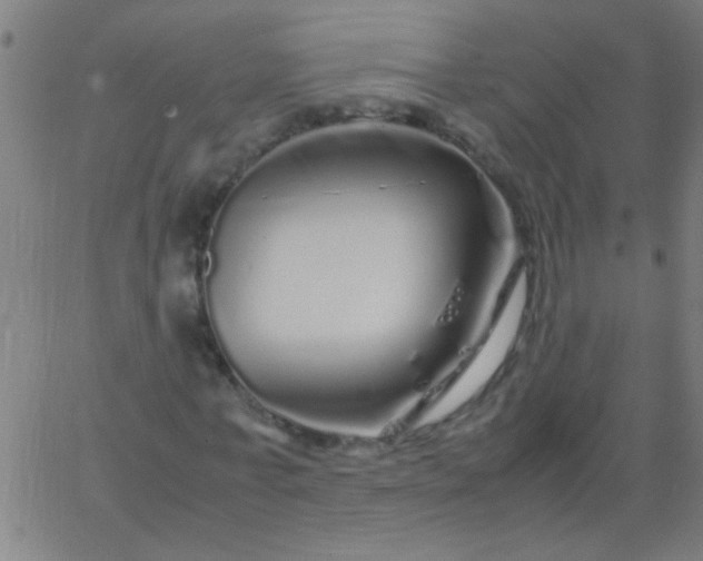 X0000067910771200604271917