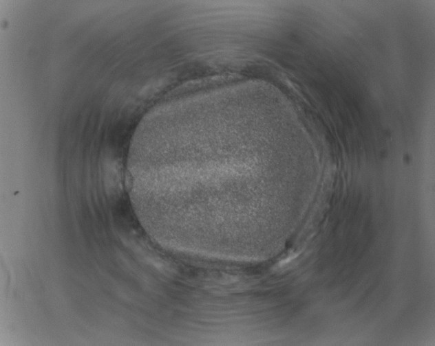 X0000067910772200604271917