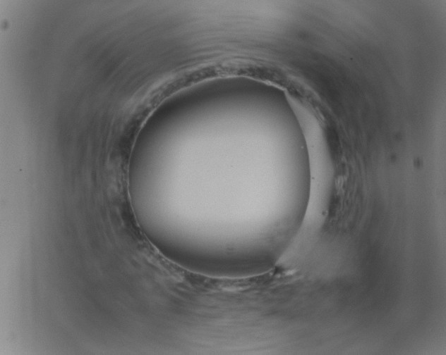 X0000067910773200604271917