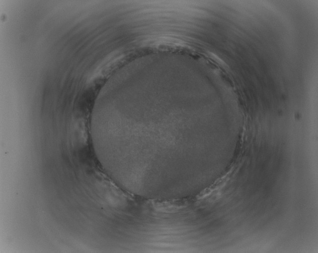 X0000067910774200604271917