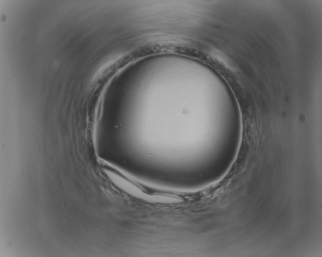 X0000067910775200604271917