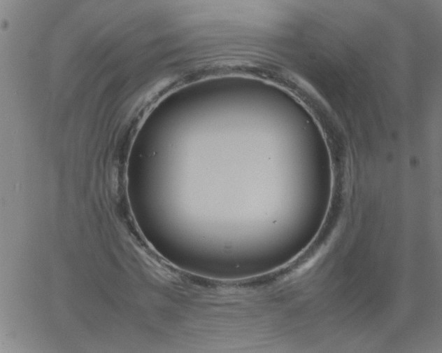 X0000067910777200604271917