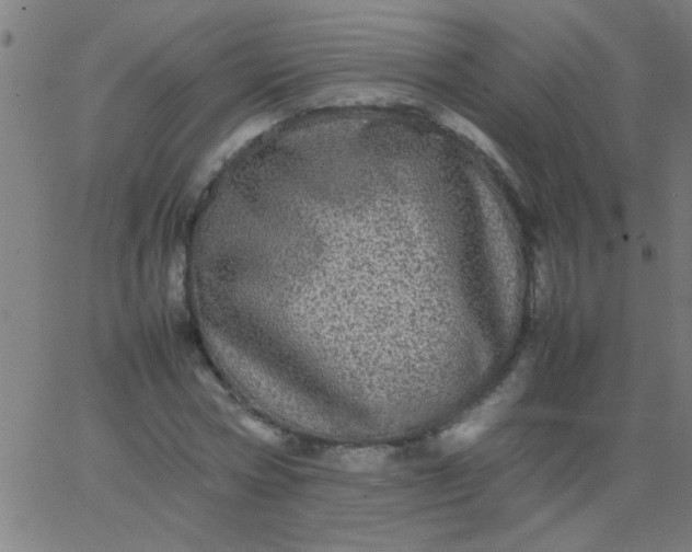 X0000067910778200604271917