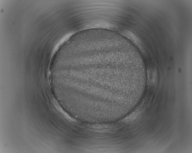 X0000067910780200604271917