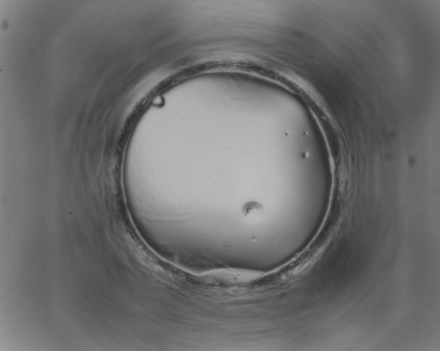 X0000067910783200604271917