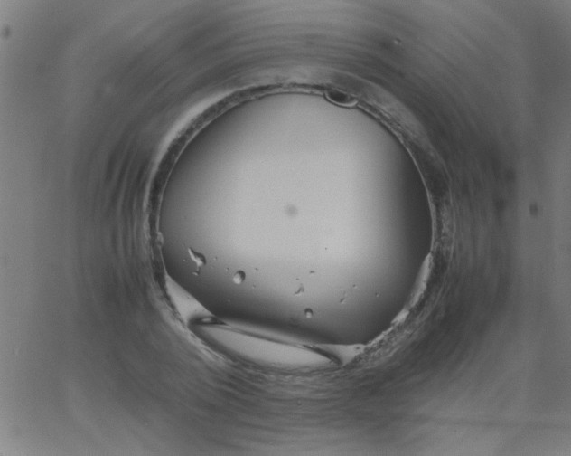 X0000067910784200604271917