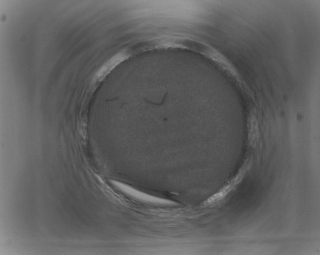 X0000067910785200604271916