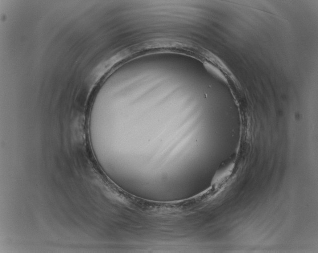 X0000067910786200604271916