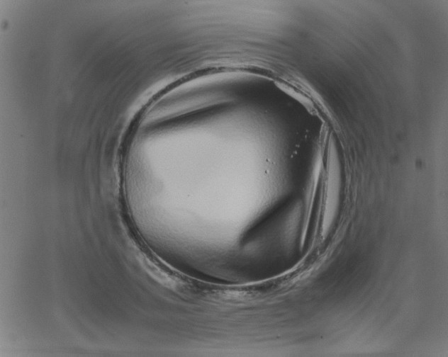 X0000067910787200604271916