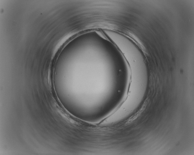 X0000067910788200604271916