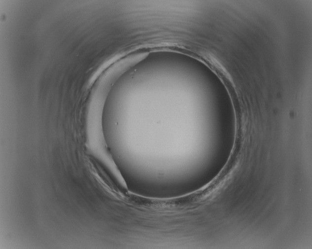 X0000067910789200604271916