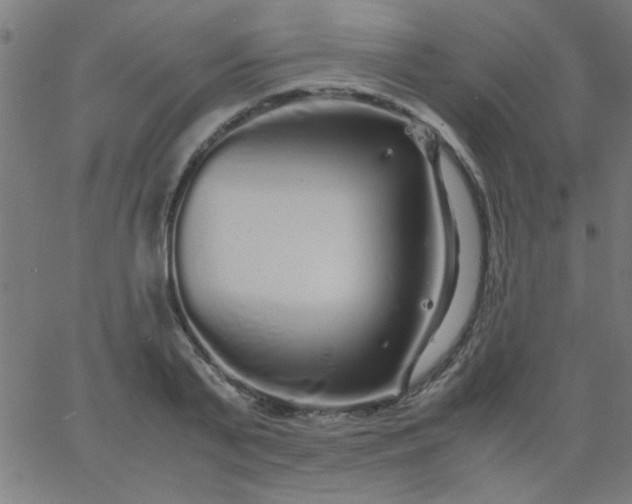 X0000067910791200604271916