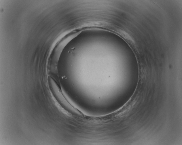 X0000067910792200604271916