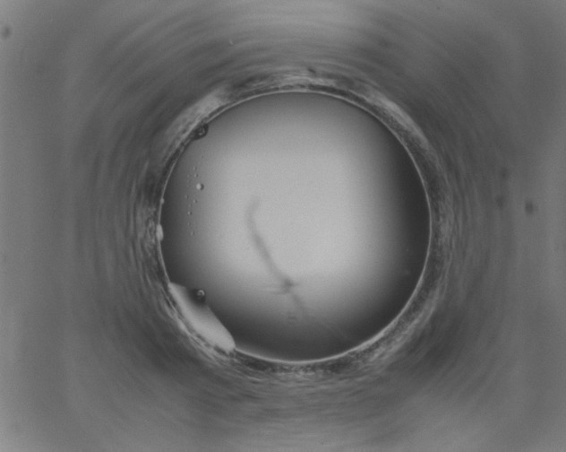 X0000067910793200604271916