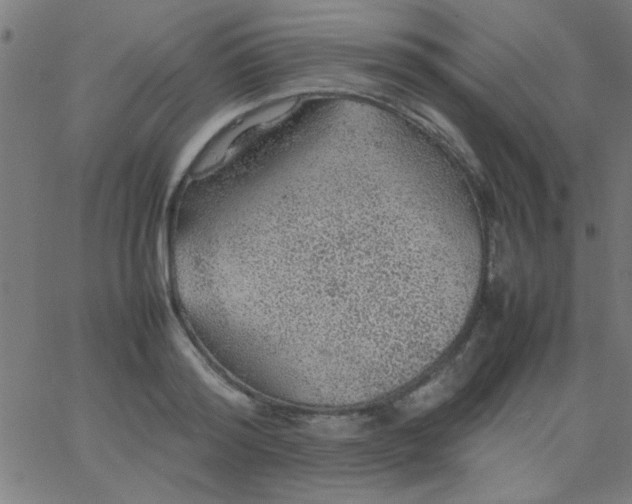 X0000067910796200604271916