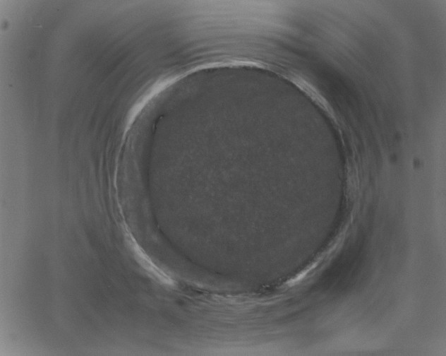 X0000067910797200604271916