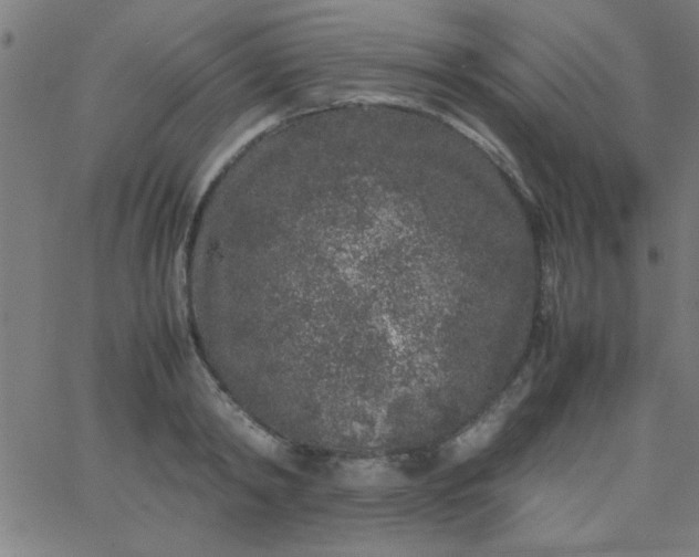 X0000067910798200604271916