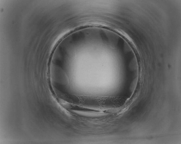 X0000067910799200604271916