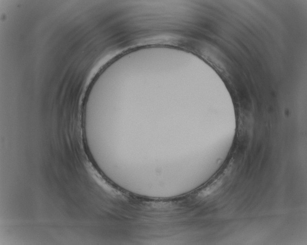 X0000067910800200604271916