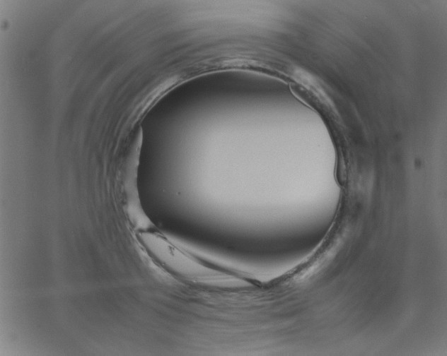 X0000067910801200604271916