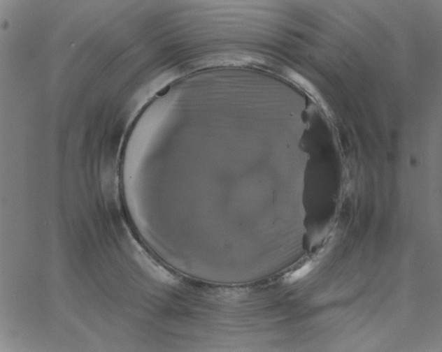 X0000067910802200604271916