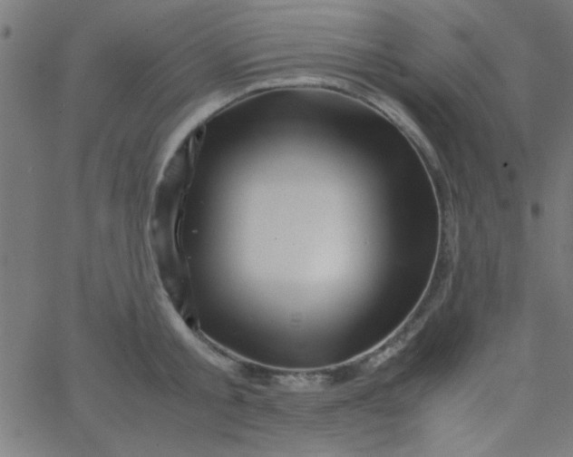 X0000067910805200604271916