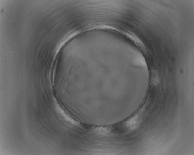 X0000067910806200604271916