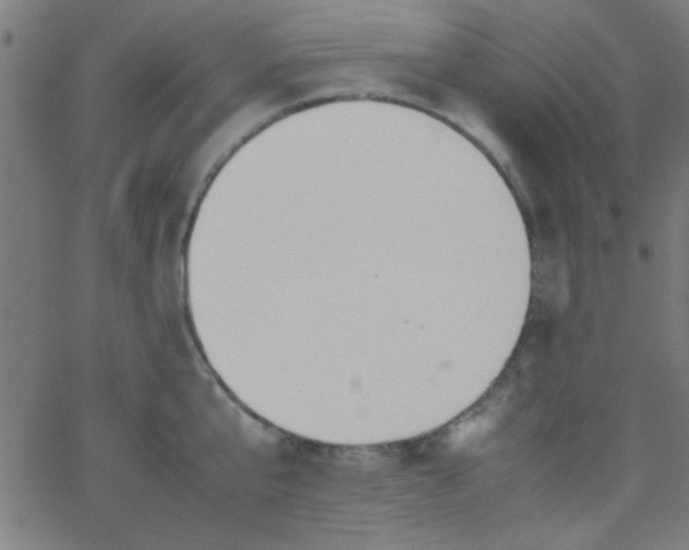 X0000067910807200604271916