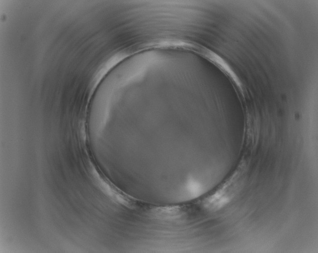 X0000067910810200604271916