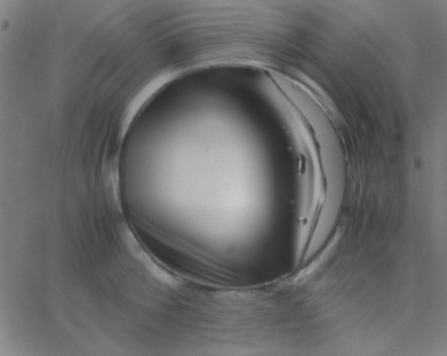 X0000067910812200604271916