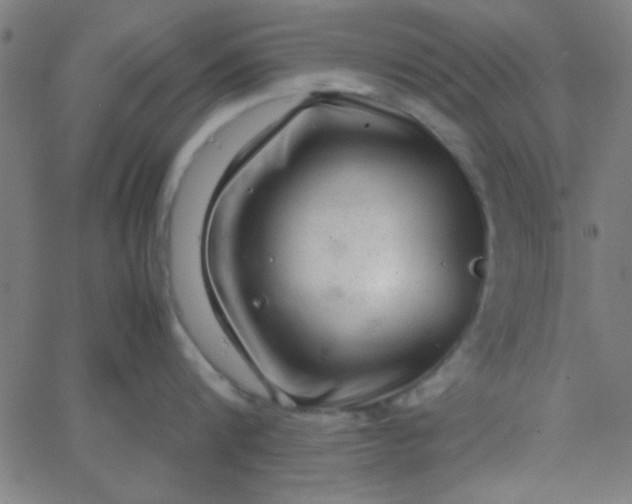 X0000067910816200604271916