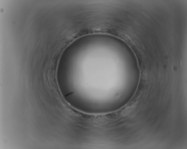 X0000067910817200604271915