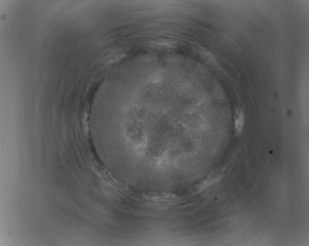 X0000067910819200604271915